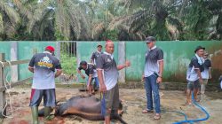 Harumnya Semangat Berbagi, Iduladha di Desa Sumber Makmur Tebar Kepedulian dan Pererat Kebersamaan