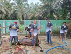 Harumnya Semangat Berbagi, Iduladha di Desa Sumber Makmur Tebar Kepedulian dan Pererat Kebersamaan