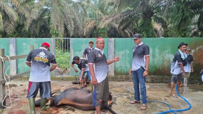 Harumnya Semangat Berbagi, Iduladha di Desa Sumber Makmur Tebar Kepedulian dan Pererat Kebersamaan