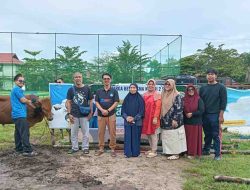 SMAN 2 Sampit Tebar Kepedulian di Iduladha 1447 H, Sembelih 3 Sapi dan 1 Kambing