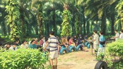 Alimansyah Keberatan atas Putusan Sepihak PT Hamparan Masawit Bangun Persada, KSPSI Kotim Minta Perusahaan Beri Kejelasan