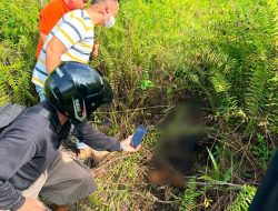 Digegerkan Penemuan Mayat Pria Membusuk di Palangka Raya Tanpa Identitas