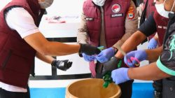 Polres Tanah Laut Berhasil Gagalkan Peredaran Narkotika 315,08 Gram Sabu, 28 Tersangka Ditangkap