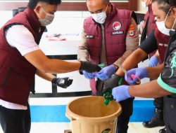 Polres Tanah Laut Berhasil Gagalkan Peredaran Narkotika 315,08 Gram Sabu, 28 Tersangka Ditangkap