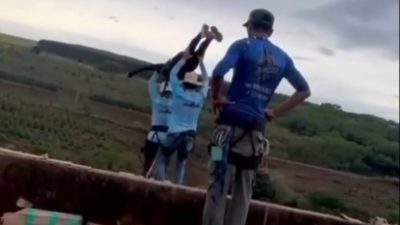 Detik-Detik Maut di Jembatan Brasil, Wanita 21 Tahun Tewas Saat Rope Jump