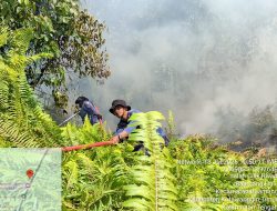Lahan Semak 2 Hektare di Jalan Cilik Riwut KM 9 Terbakar, Damkar Kotim Turun Tangan