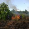 Kotim Hadapi Ancaman Ganda Musim Kemarau, Karhutla dan Kekeringan Mengintai