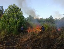 Kotim Hadapi Ancaman Ganda Musim Kemarau, Karhutla dan Kekeringan Mengintai