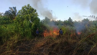 Kotim Hadapi Ancaman Ganda Musim Kemarau, Karhutla dan Kekeringan Mengintai