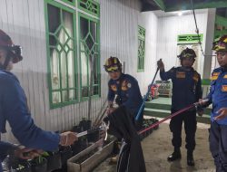 Ngeri! King Kobra Sepanjang Dua Meter Bersarang di Pekarangan Rumah Warga Baamang