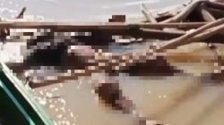 Usai Gerebek Narkoba: Bripda Nopandri yang Hilang Ditemukan Tewas di Sungai Katingan