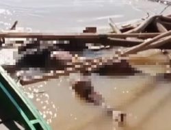 Usai Gerebek Narkoba: Bripda Nopandri yang Hilang Ditemukan Tewas di Sungai Katingan