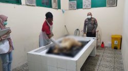 Mayat ABK Tug Boat Kapuas Bahari V Ditemukan Kedua Tangan dan Kaki Hilang