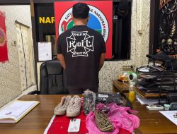 Terima Barang 77 Gram Ganja di Expedisi Baamang Sampit, Pria 29 Tahun Diringkus Polisi