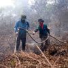 Lebih 3.000 Hektare Lahan Gambut Terbakar di Seranau, Pemerintah dan PT RMU Bersinergi Padamkan Api