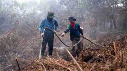 Lebih 3.000 Hektare Lahan Gambut Terbakar di Seranau, Pemerintah dan PT RMU Bersinergi Padamkan Api