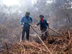Lebih 3.000 Hektare Lahan Gambut Terbakar di Seranau, Pemerintah dan PT RMU Bersinergi Padamkan Api