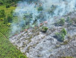 Karhutla Kotim Tembus 1.412 Hektare, Seranau Jadi Titik Terparah dengan 703,5 Hektare Lahan Terbakar