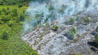 Karhutla Kotim Tembus 1.412 Hektare, Seranau Jadi Titik Terparah dengan 703,5 Hektare Lahan Terbakar