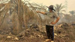 Kebun Sawit Terbakar, Warga Harap PT Agro Bukit Sediakan Paralon Cegah Api Berulang