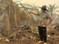 Kebun Sawit Terbakar, Warga Harap PT Agro Bukit Sediakan Paralon Cegah Api Berulang