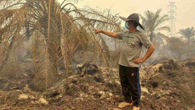 Kebun Sawit Terbakar, Warga Harap PT Agro Bukit Sediakan Paralon Cegah Api Berulang
