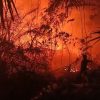 Lahan Terbakar di SP 4 H Bandar Agung, Api Hanya 10 Meter dari Rumah Warga
