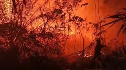 Lahan Terbakar di SP 4 H Bandar Agung, Api Hanya 10 Meter dari Rumah Warga