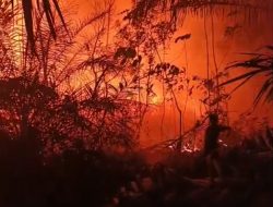 Lahan Terbakar di SP 4 H Bandar Agung, Api Hanya 10 Meter dari Rumah Warga