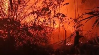 Lahan Terbakar di SP 4 H Bandar Agung, Api Hanya 10 Meter dari Rumah Warga