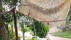 Guyuran Hujan Mulai Basahi Kotim, Ancaman Karhutla Diharap Menurun