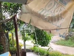 Guyuran Hujan Mulai Basahi Kotim, Ancaman Karhutla Diharap Menurun