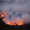 Karhutla Kotim Jadi yang Terparah di Kalteng, 21 Ribu Hotspot dan 2.524 Hektare Terbakar