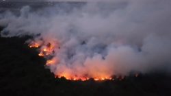 Karhutla Kotim Jadi yang Terparah di Kalteng, 21 Ribu Hotspot dan 2.524 Hektare Terbakar
