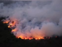 Karhutla Kotim Jadi yang Terparah di Kalteng, 21 Ribu Hotspot dan 2.524 Hektare Terbakar