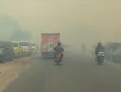 Sesak dan Mata Perih! Sampit Dikepung Asap dan Abu Karhutla