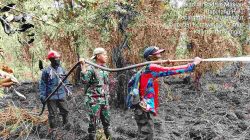Api Mengamuk Dekat Permukiman, Hutan Jaya Kelapa Terbakar