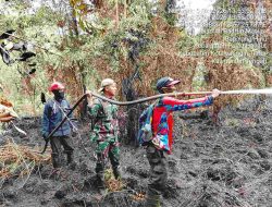 Api Mengamuk Dekat Permukiman, Hutan Jaya Kelapa Terbakar