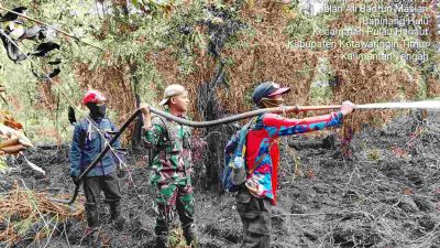 Api Mengamuk Dekat Permukiman, Hutan Jaya Kelapa Terbakar