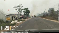 Api Membesar di Depan Kantor Camat MB Ketapang, Dua Unit Damkar Dikerahkan