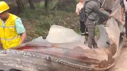 Usai Dentuman Keras Menggemparkan Kotim, Benda Mirip Bangkai Pesawat Ditemukan di Kebun Sawit