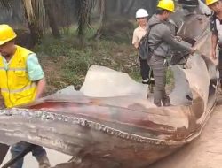 Usai Dentuman Keras Menggemparkan Kotim, Benda Mirip Bangkai Pesawat Ditemukan di Kebun Sawit