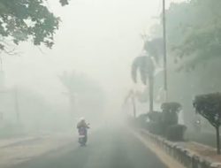 Asap Pekat Selimuti Sampit, Warga Sebut Kondisi Hari Ini Makin Parah